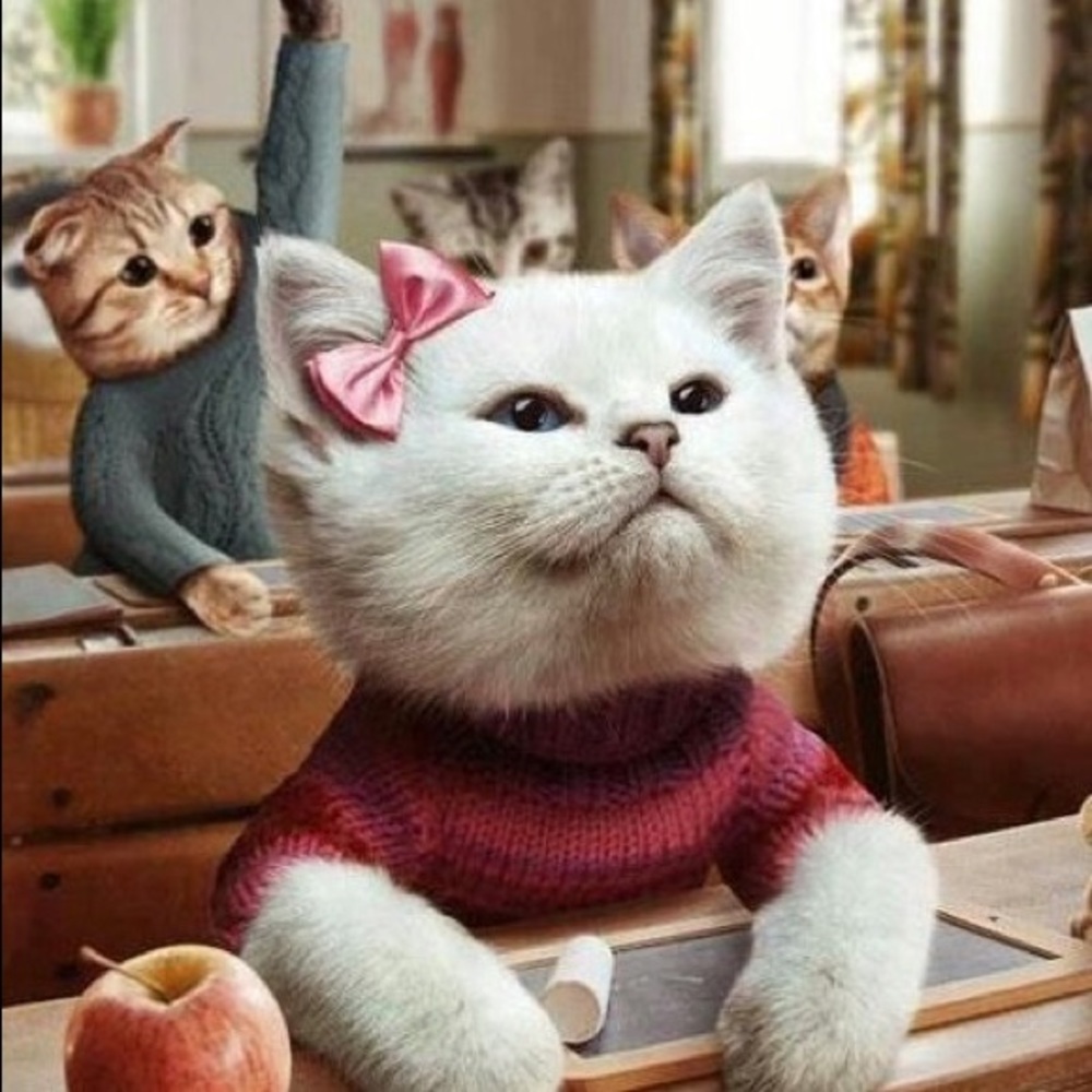 Meet your Posher, Stacey